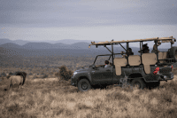 Game Drive, Kuzuko Lodge, Addo