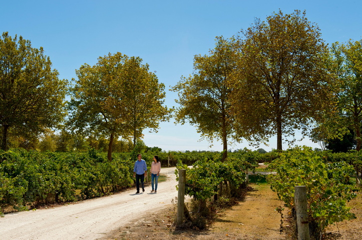 Rymill Coonawarra Winery, South Australia