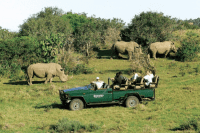 Game Drive, Main Lodge, Kariega Game Reserve