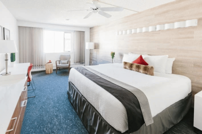 Regular King Room, Elk + Avenue Hotel, Banff, Canada