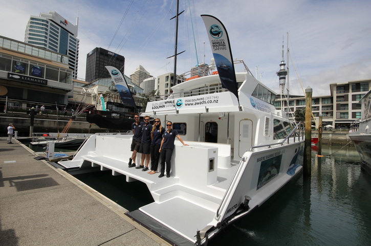 Auckland Whale & Dolphin Eco-Safari, New Zealand