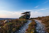 4x4 Nature Safari, Grootbos Private Nature Reserve, Western Cape, South Africa