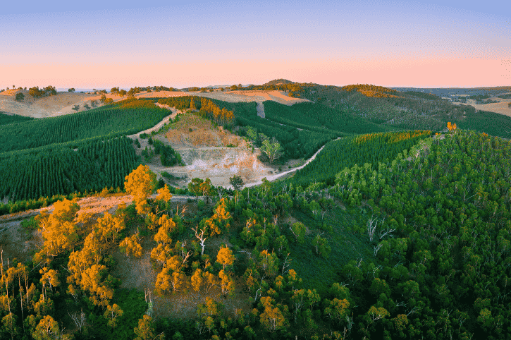 Adelaide Hills, South Australia