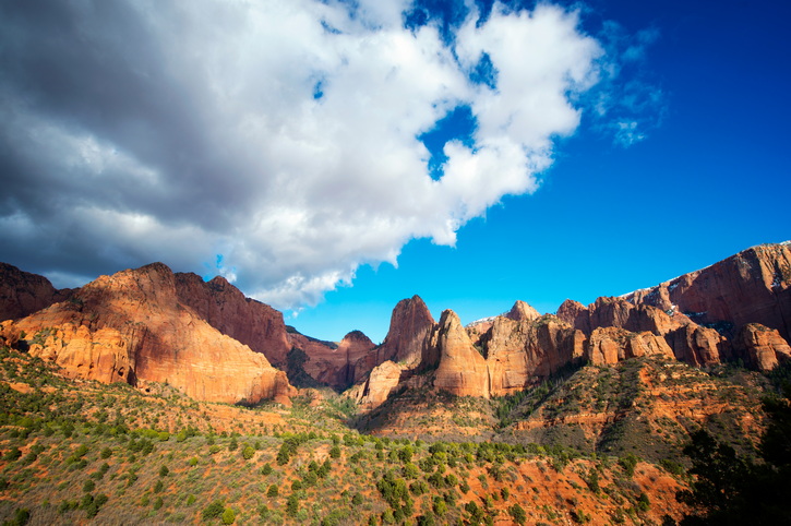 La Verkin Creek Trail, Zion National Park, Utah