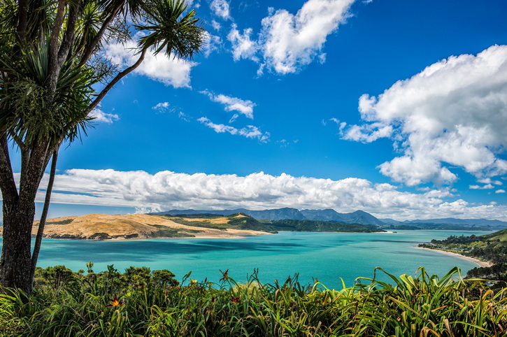 Hokianga Harbour, New Zealand