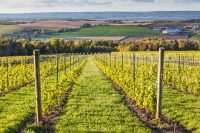 Canada, Nova Scotia, Annapolis Valley, Wolfville