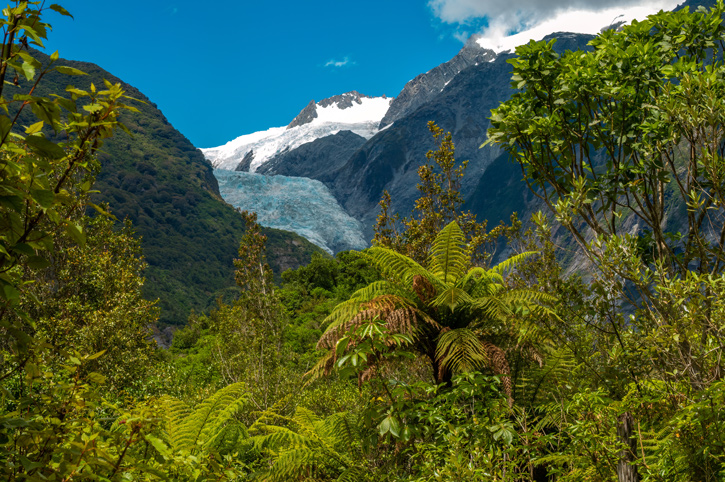 Franz Josef Glacier, Westland Tai Poutini National Park, New Zealand