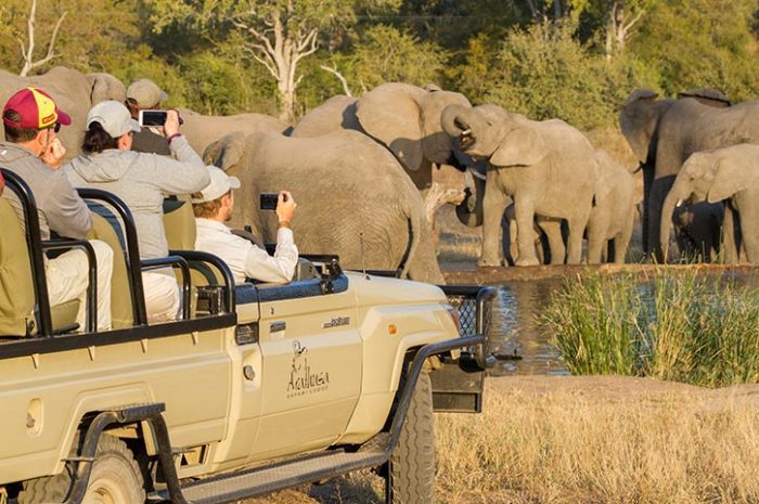 Game drive, Arathusa Safari Lodge