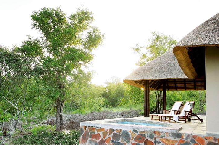 Arathusa Safari Lodge Private Plunge Pool