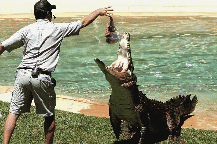 Australia Zoo, Crocoseum, Queensland