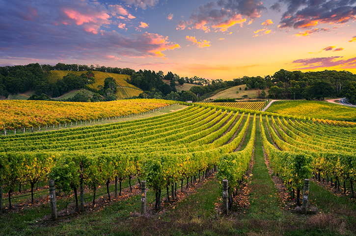 Barossa Valley, South Australia