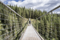 Black Shale Suspension Bridge, Kananaskis Country, Alberta, Canada