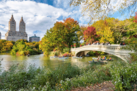 Bow Bridge, Central Park, New York