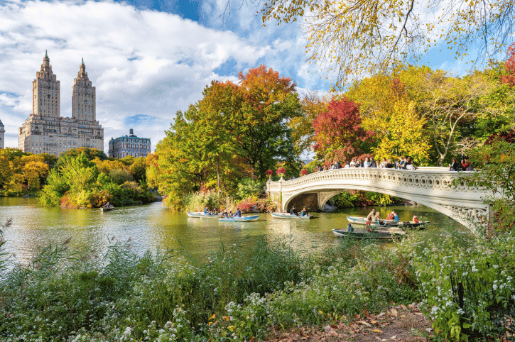 Bow Bridge, Central Park, New York