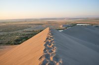 View from the top of Bruneau Dunes. Idaho