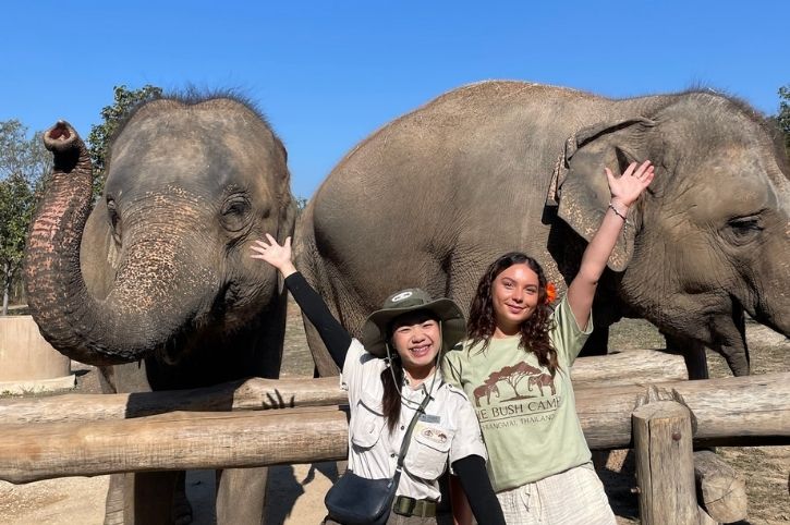 Elephant Encounters, Elephant Hills Bush Camp, Chiang Mai