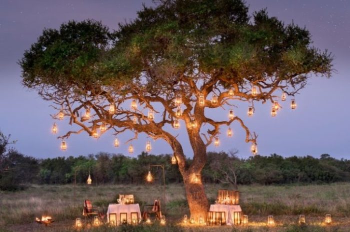 Bush Dinner at Phinda Rock Lodge, Phinda Private Game Reserve, South Africa