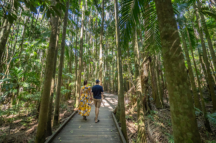 Cairncross Scenic Reserve, Sunshine Coast