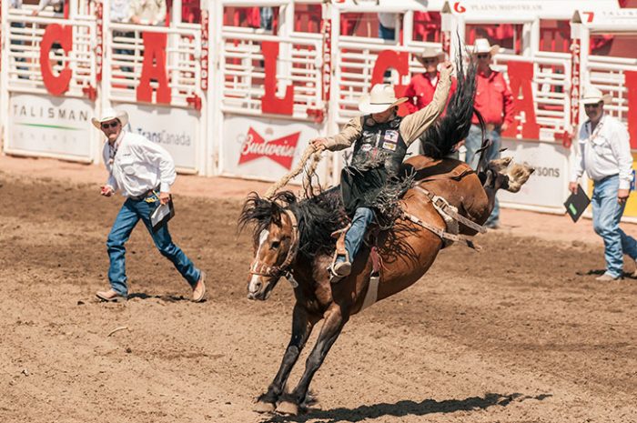 Calgary Stampede