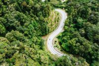 Cameron Highlands, Malaysia