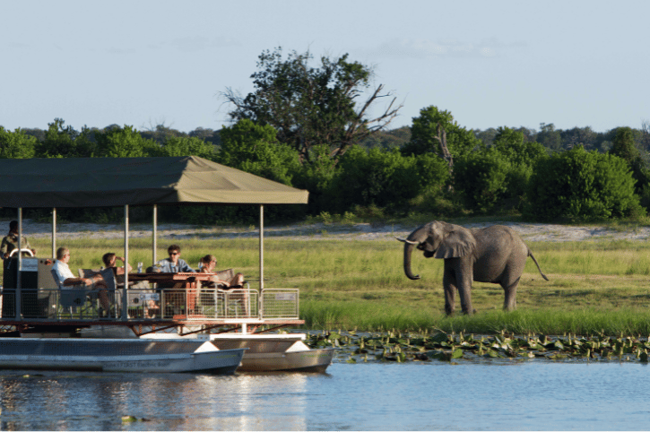 Chobe Game Lodge Boat Safari on Chobe River with Elephant