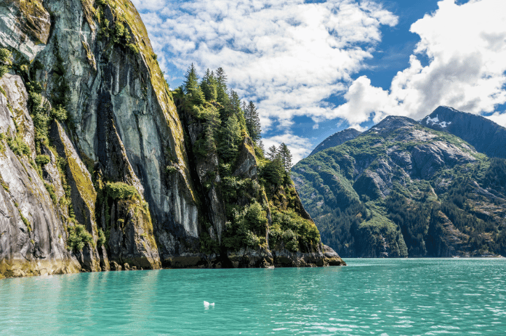 Cliffside along Tracy Arm Fjord, Alaska