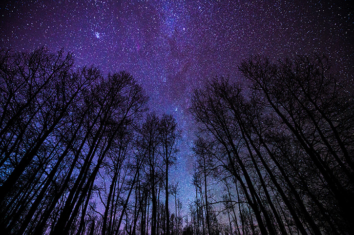 Night Sky, Colorado