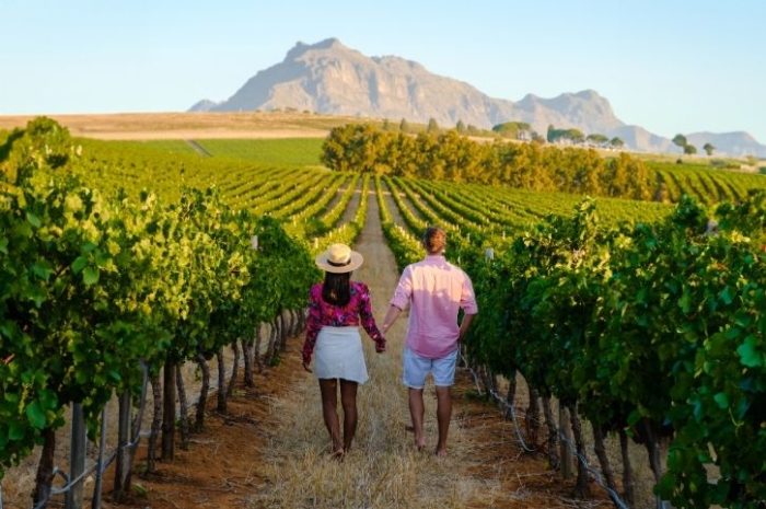 Couple at a Stellenbosch Vineyard, South Africa
