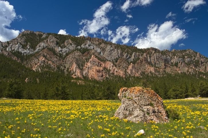 Crazy Woman Canyon, Buffalo, Wyoming