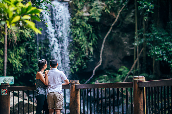Curtis Falls, Tamborine Mountain