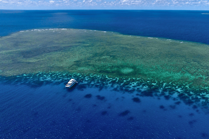 Outer Great Barrier Reef cruise, Queensland
