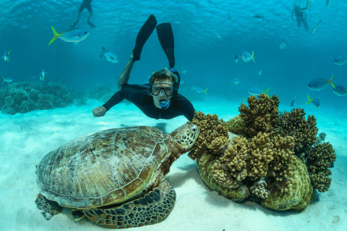 Down Under Cruise and Dive Barrier Reef luxury cruise