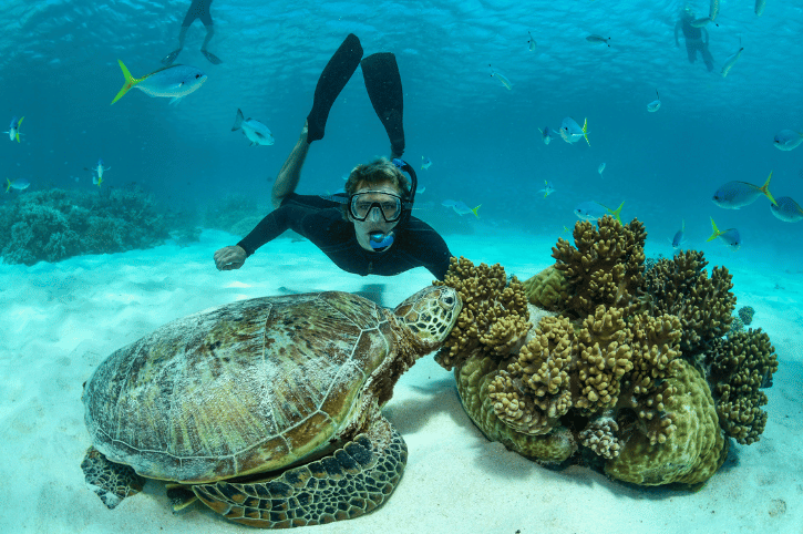 Down Under Cruise and Dive Barrier Reef luxury cruise