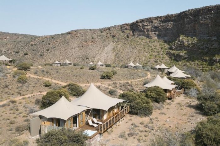 Dwyka Tented Lodge, Sanbona Wildlife Reserve