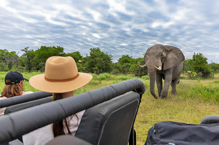Game vehicle watching elephant, Lion Sands, South Africa
