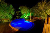 Pool, Elephant Plains Lodge
