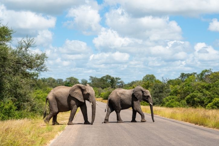 Highlights of South Africa