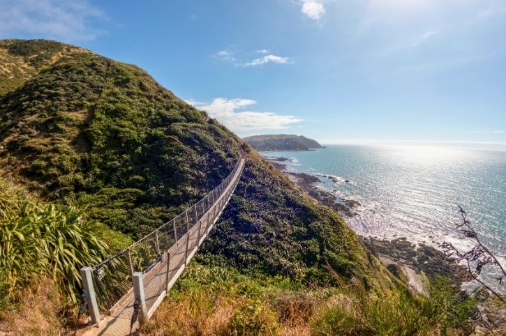 Escarpment Track, Kapiti Coast, North Island, New Zealand