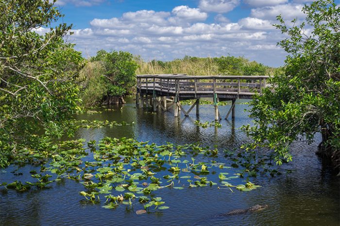 Everglades National Park, Florida