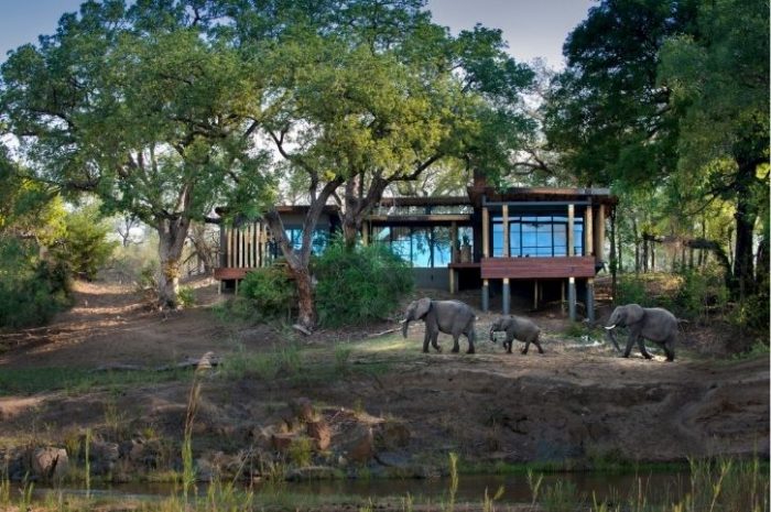 Exterior, Tengile River Lodge, Sabi Sands Game Reserve, Greater Kruger, South Africa