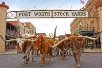 Fort Worth Stockyards, Texas, USA