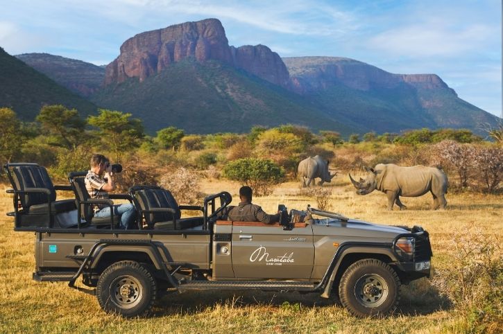 South Africa Safaris