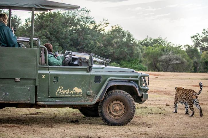 Game Drive, Pumba Private Game Reserve, South Africa