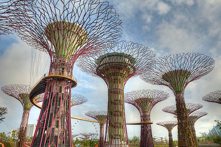 Gardens By The Bay