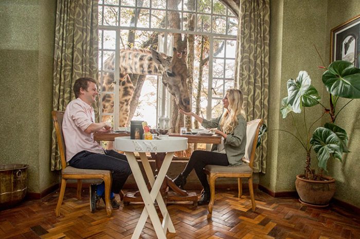 Breakfast with giraffes, Giraffe Manor