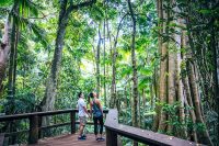 Gold Coast Hinterland