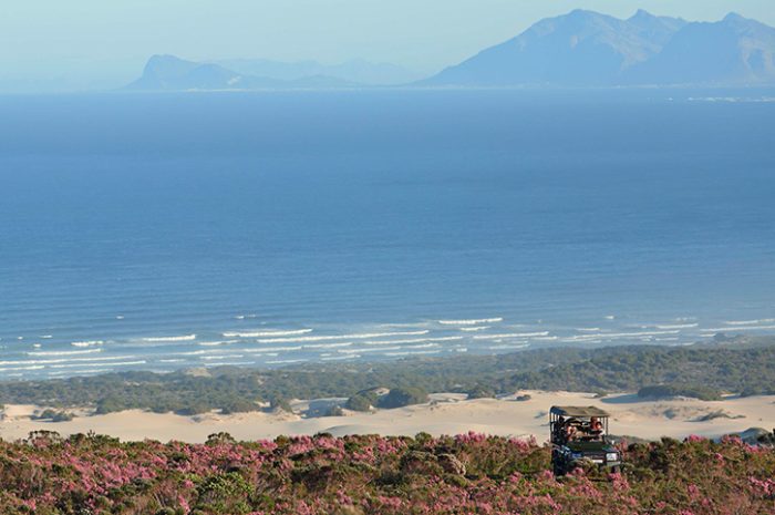 4x4 Natura Safari, Grootbos Nature Reserve, Western Cape, South Africa