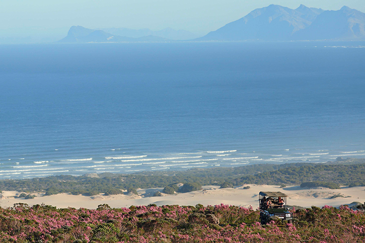 4x4 Natura Safari, Grootbos Nature Reserve, Western Cape, South Africa