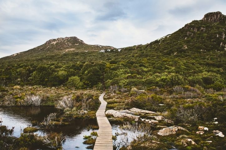 Hartz Peak Walk, Hartz Mountains National Park