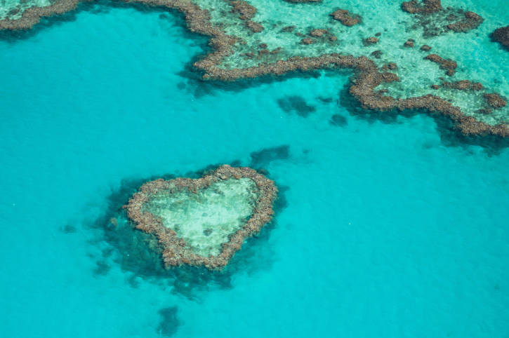 Heart Island, Great Barrier Reef, Queensland